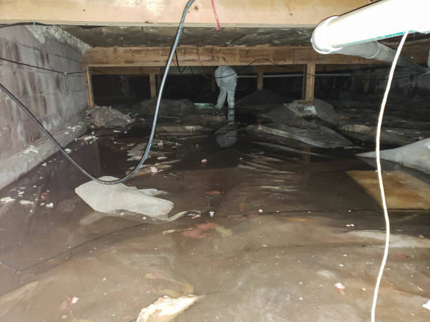 Best Residential Water Damage Restoration in Marin City, CA